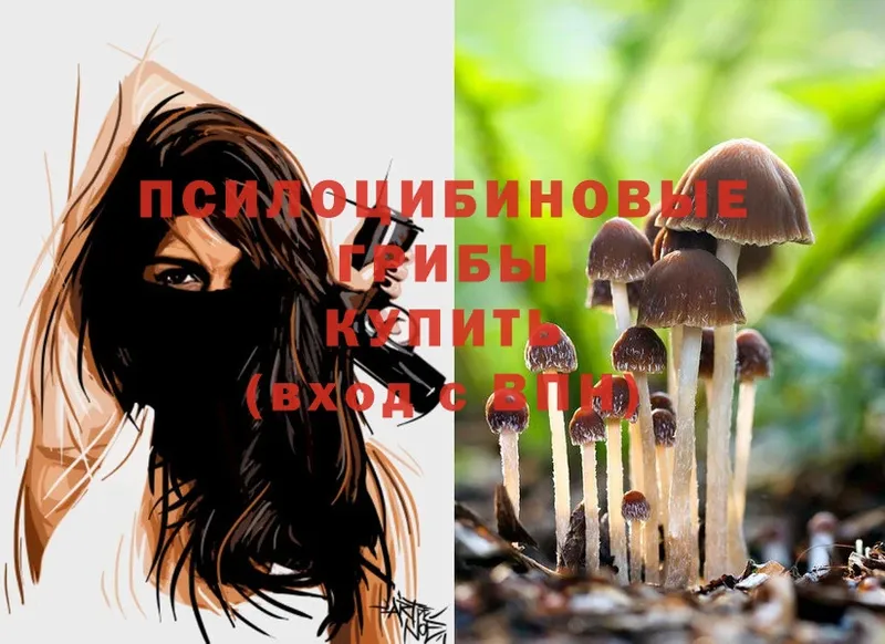 Псилоцибиновые грибы Magic Shrooms  даркнет сайт  Люберцы 