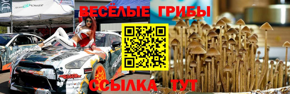 Псилоцибиновые грибы GOLDEN TEACHER Люберцы