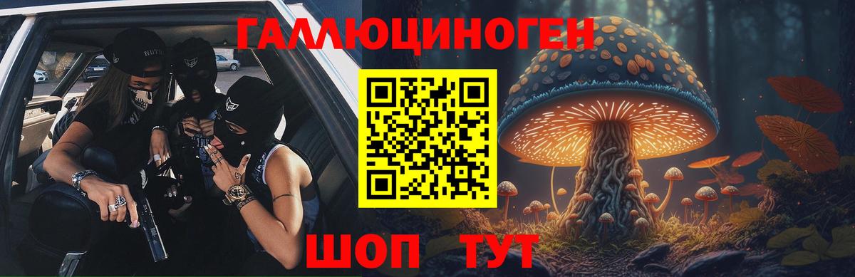 Псилоцибиновые грибы Psilocybe  Псилоцибиновые грибы Psilocybe  Люберцы  Вход с VPN 