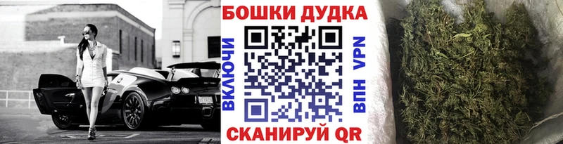 Конопля SATIVA & INDICA  omg маркетплейс  Люберцы  купить закладку 